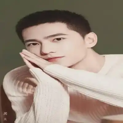 段雅